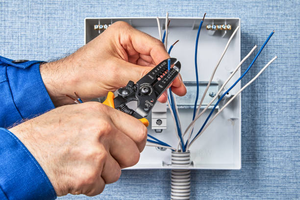 Best Electrical Panel Upgrades  in Bodfish, CA